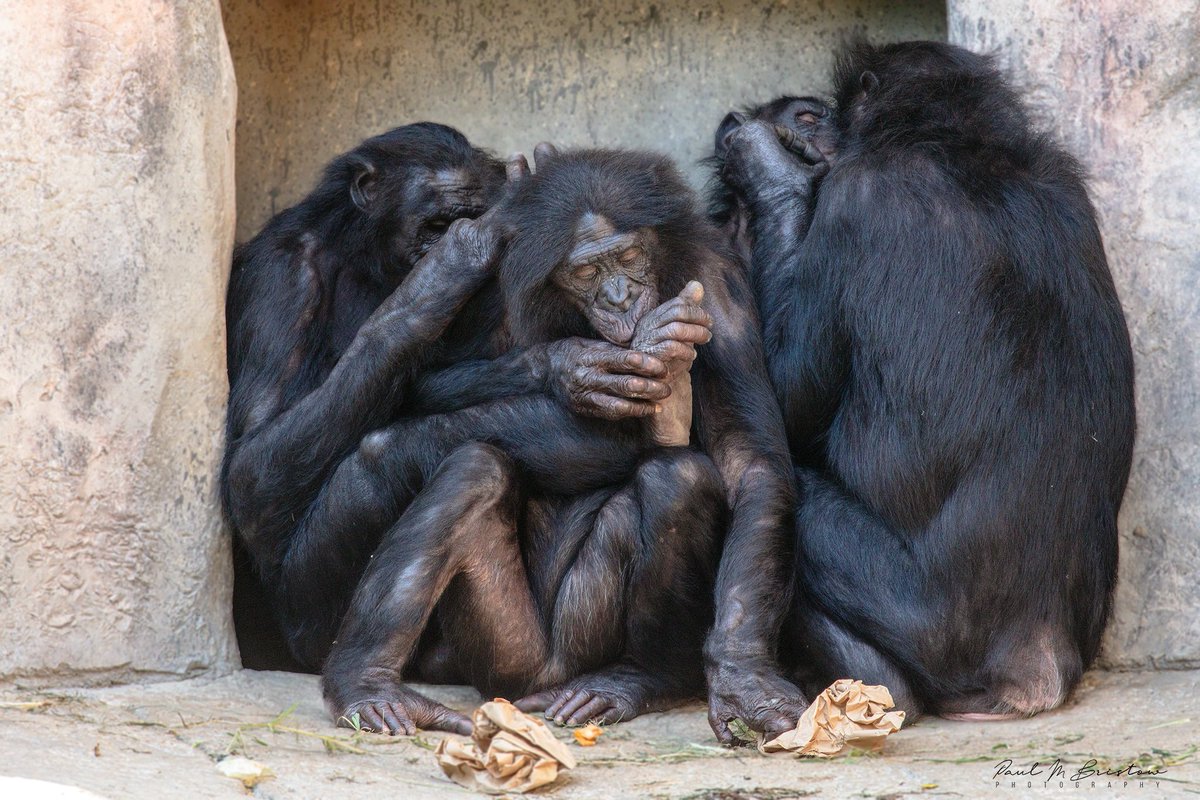 mooneyflyboy's tweet image. Love spending time @FortWorthZoo! Here are a couple of photos I took today.