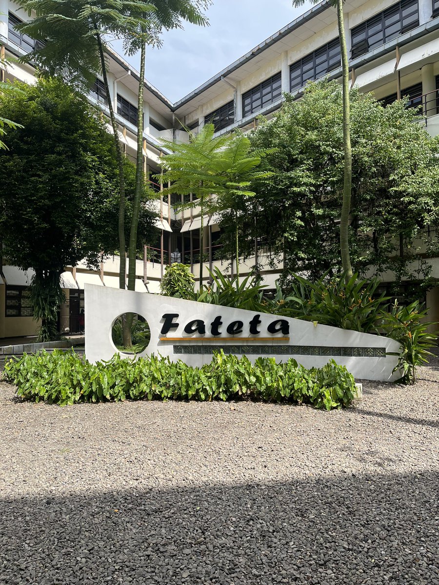 dy ⭑ . 𐙚 tweet media