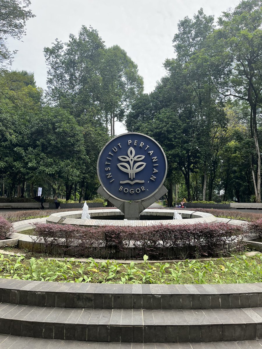 dy ⭑ . 𐙚 tweet media