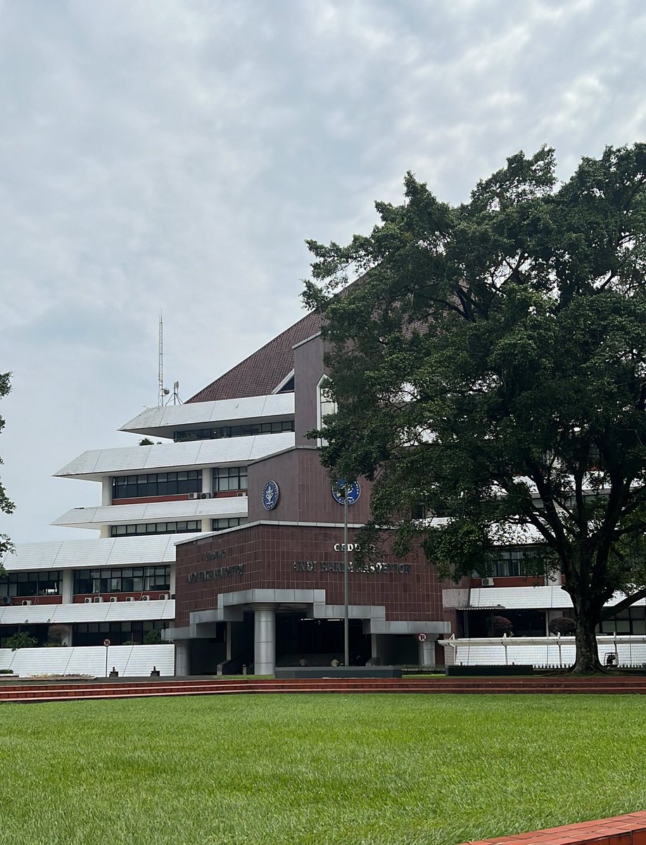 dy ⭑ . 𐙚 tweet media