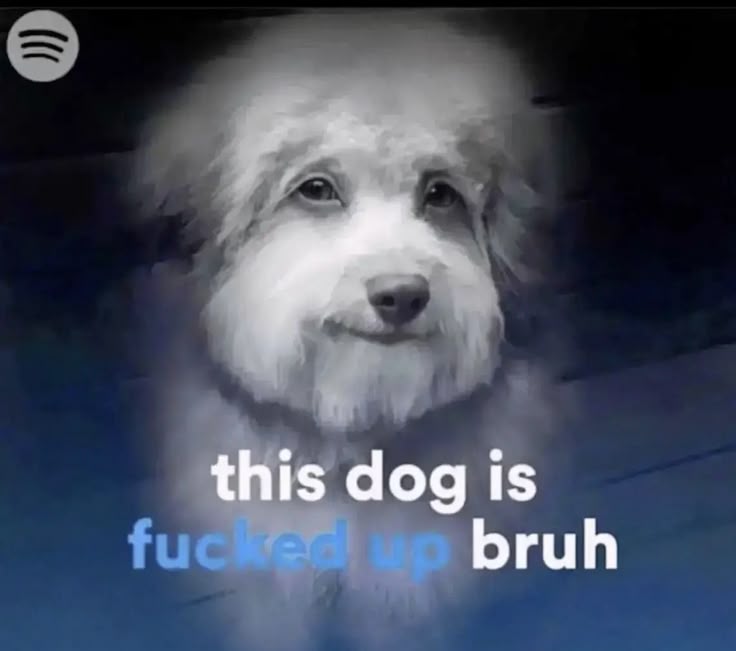 circlesncitrus's tweet image. i love socializing occasionally.... i love talking to people to compliment them even if its a little awkward....#nonchalant...#notawkward...#ihaveadhd...