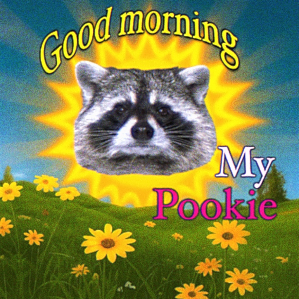 raccoon aesthetic. (@raccoonesthetic) on Twitter photo 