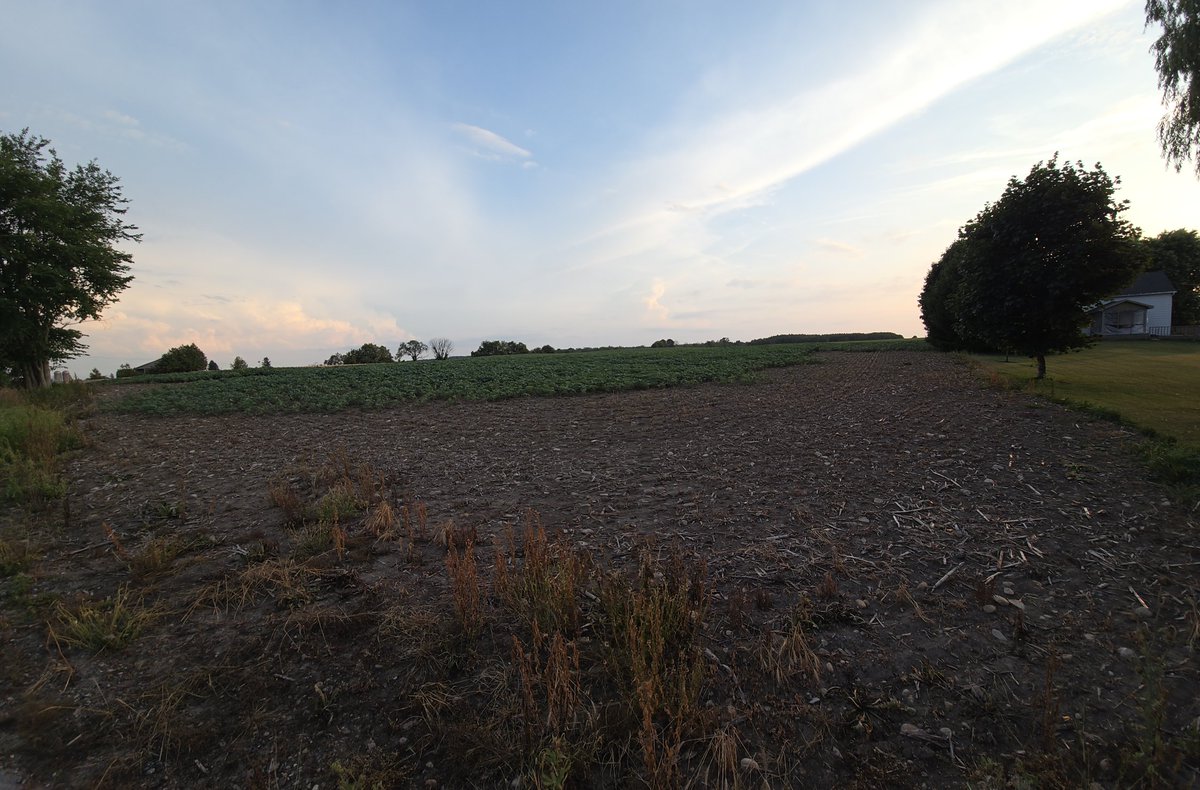 This is what it looks like when you let enlist sit in youre booms for a couple days.