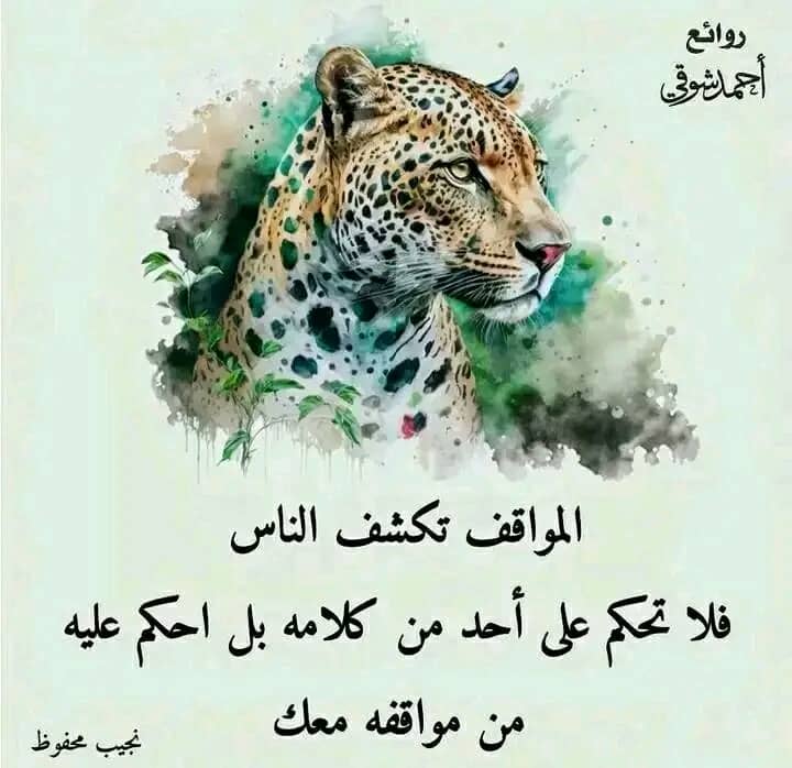 ageelms's tweet photo. صادق https://t.co/oBxpCbNi1V