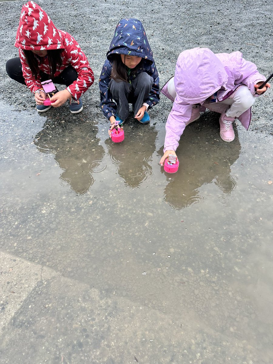mmedare (@mmedare) on Twitter photo When it rains Nature Explorers design and test boats! <a href="/SD41marlborough/">École Marlborough Elementary</a> <a href="/burnabyschools/">Burnaby Schools</a> #burnabysummersession #togetherisbetter When it rains Nature Explorers design and test boats! <a href="/SD41marlborough/">École Marlborough Elementary</a> <a href="/burnabyschools/">Burnaby Schools</a> #burnabysummersession #togetherisbetter