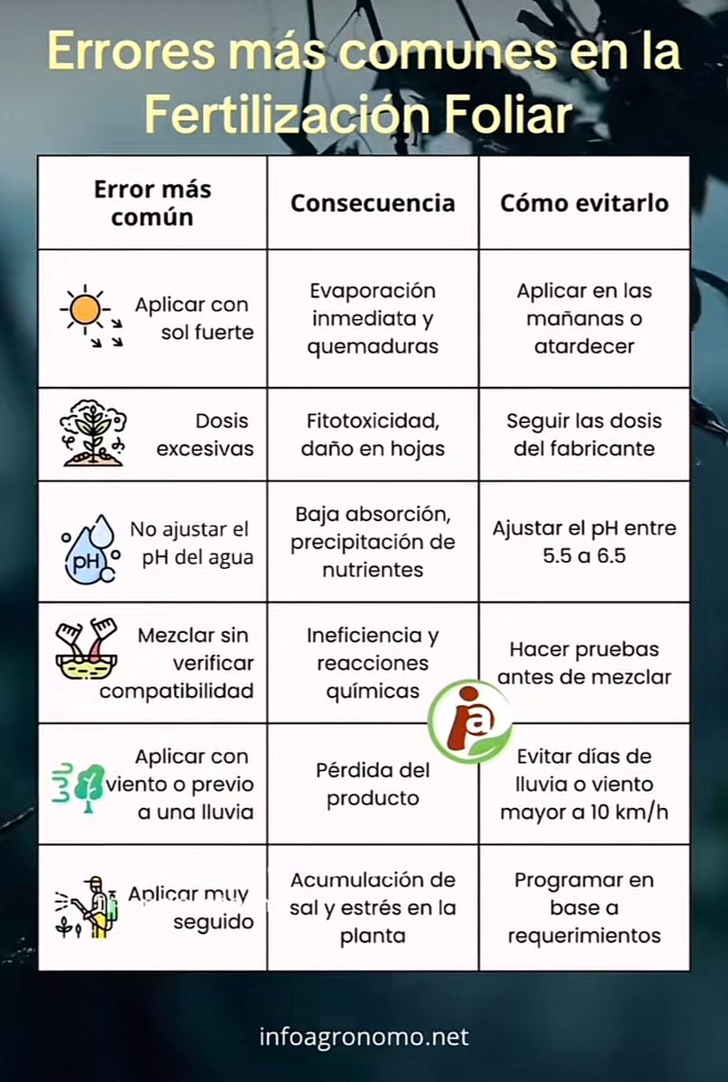 Errores más comunes en la fertilización foliar