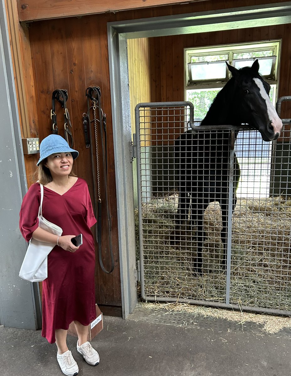 ✅ off a bucket list this week with a visit to Shadai Stallions. Equinox (pictured), Kizuna, Kitasan Black, Epiphaneia, Maurice….the only one we didn’t get to see was Lord Kanaloa (he doesn’t like visitors 😂). The proverbial kid in a lollie shop. Happy as !! 🙏🙏 Shadai.