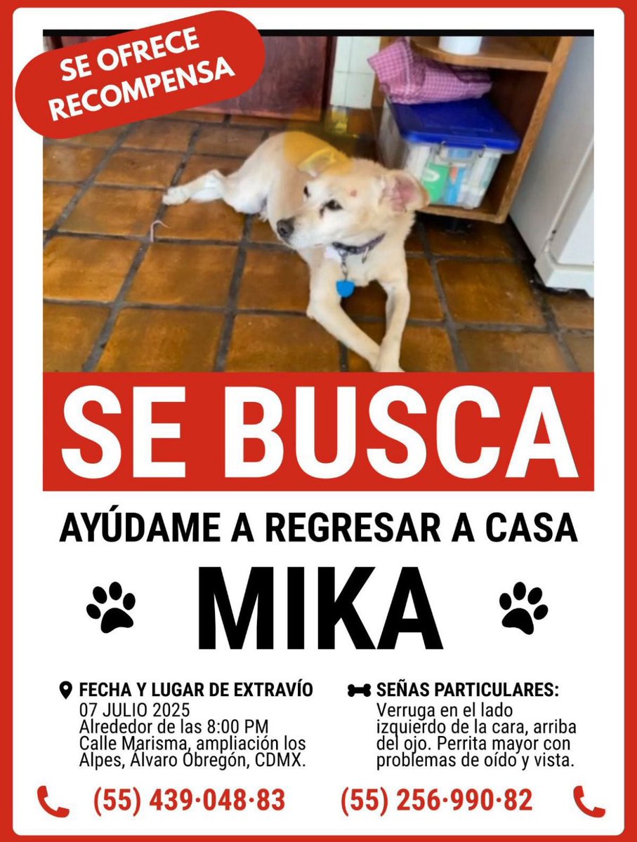 Se ve más vieja que en la foto.