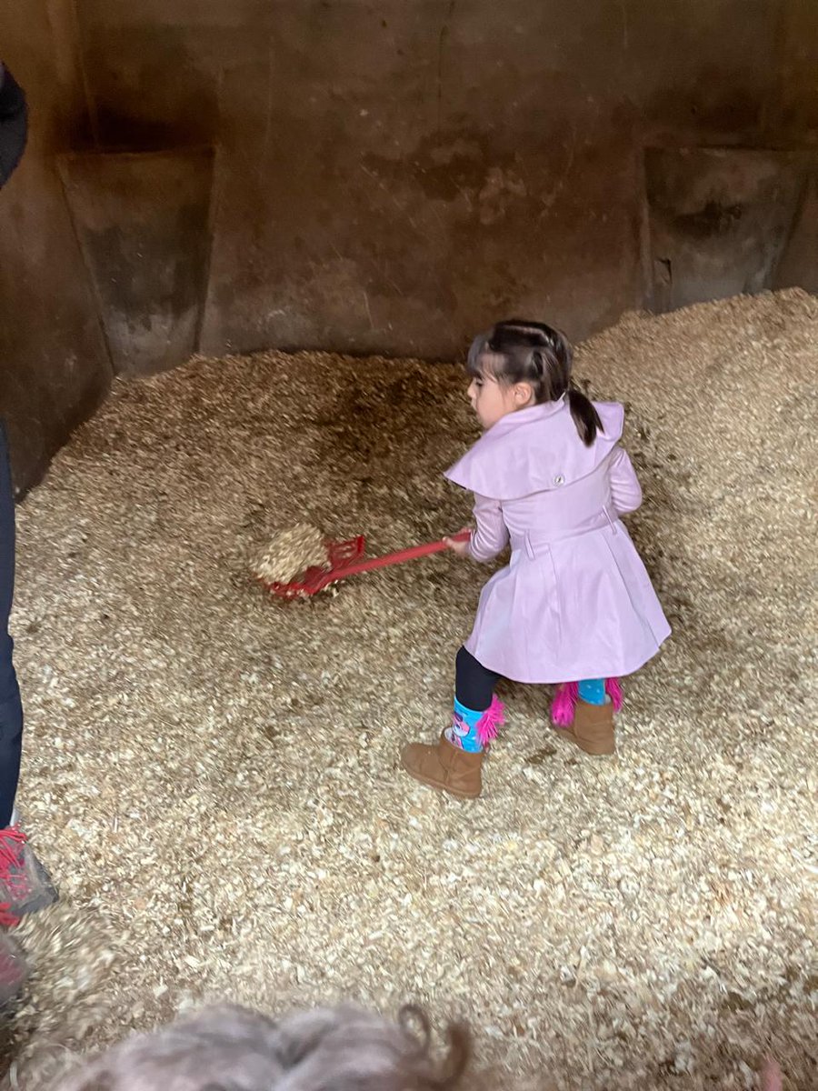 MilhoKing's tweet image. Já que está de férias, a baia do cavalo não se limpa sozinha né 👧🏻💪   #playhard #workhard🐴