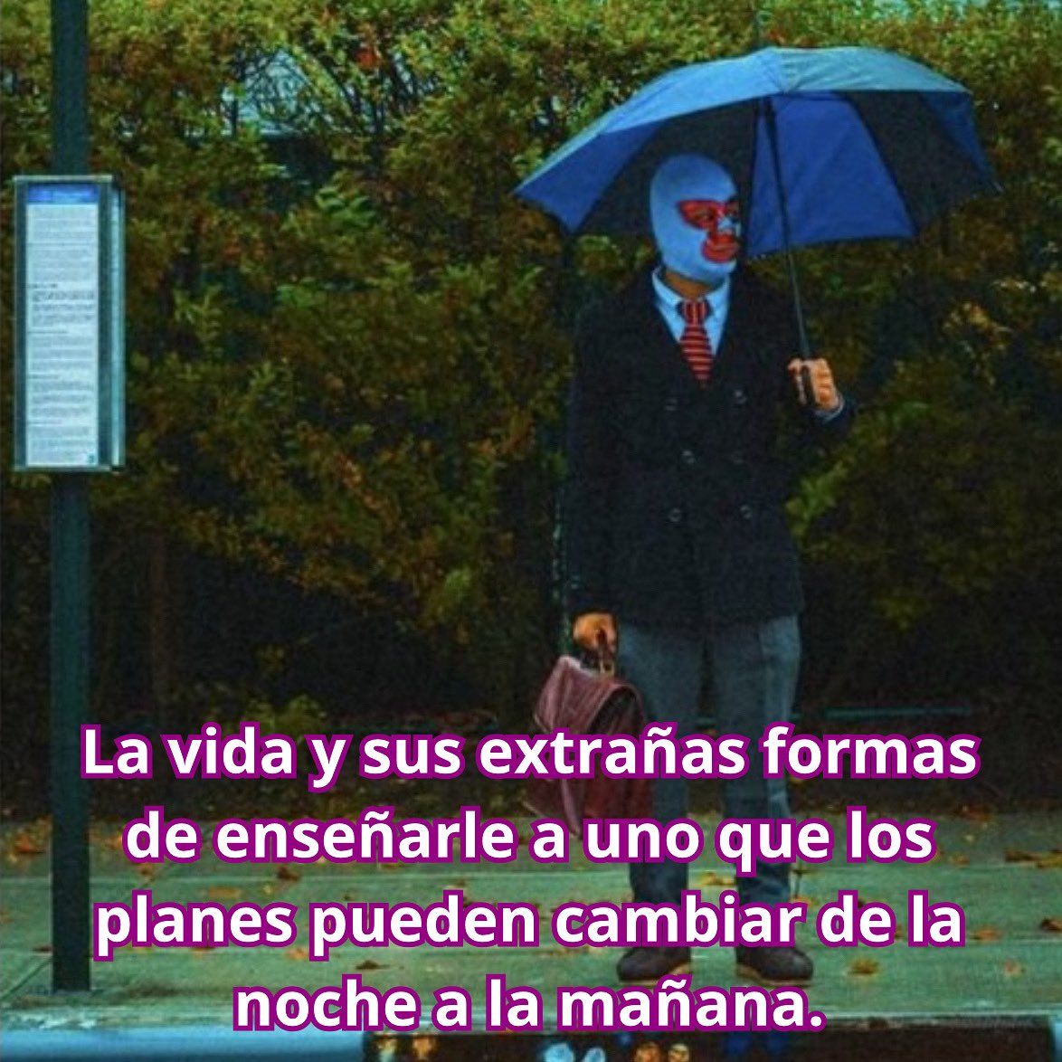 emociones amarillas tweet media