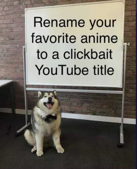 GodCat 🍊,💊 | 𝔽rAI π² tweet media