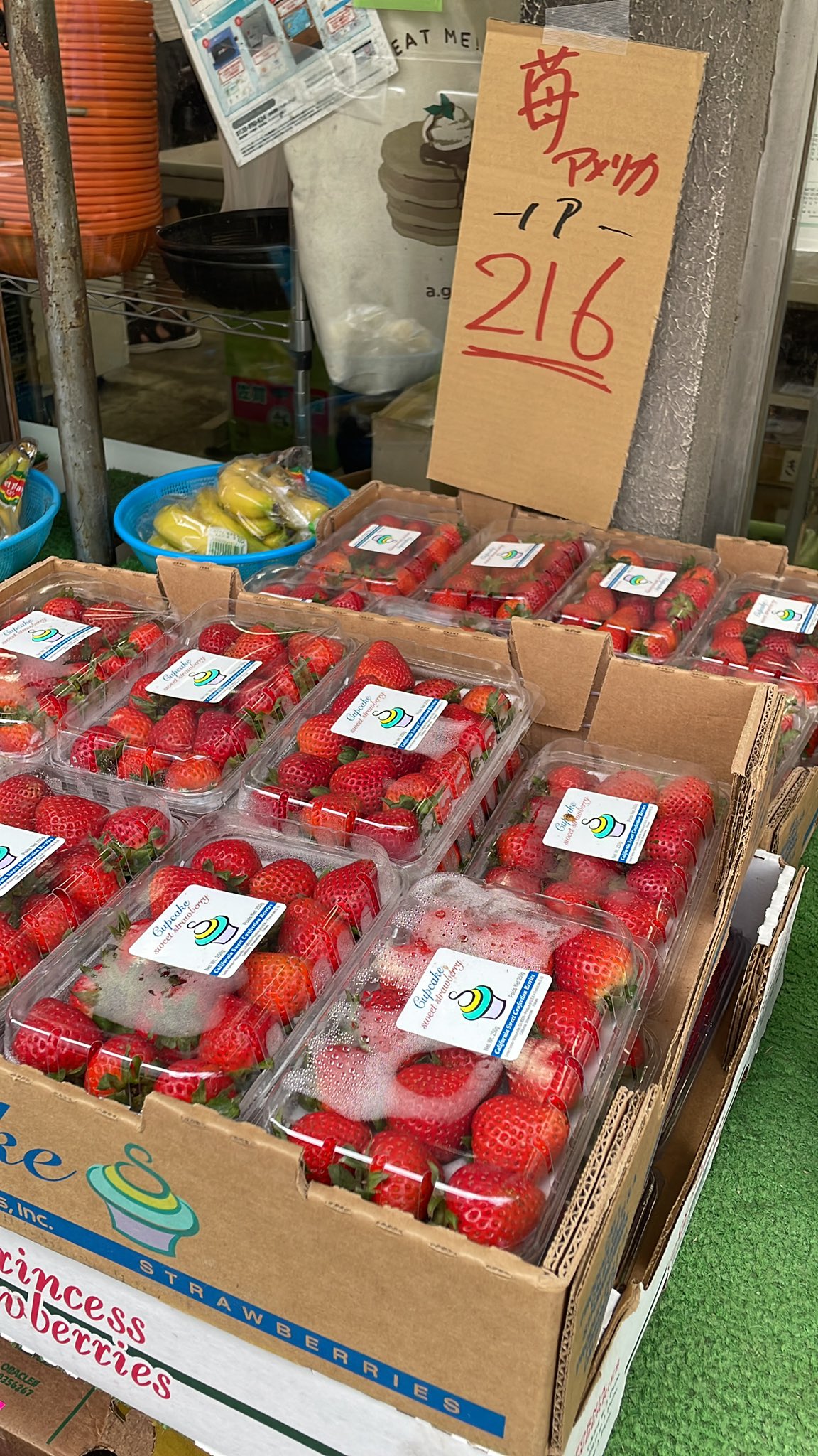 いちご確認ページ ポイント消化 冷凍ストロベリー(冷凍イチゴ/ホール)無加糖