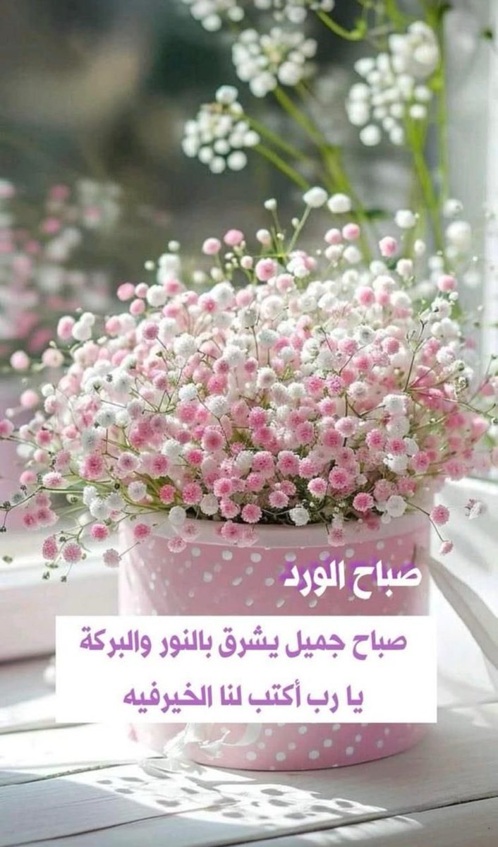 Naglaa hedar (@naglaahedar1) on Twitter photo 