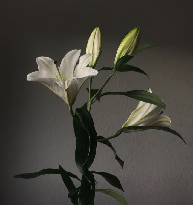 prettythikra's tweet image. 