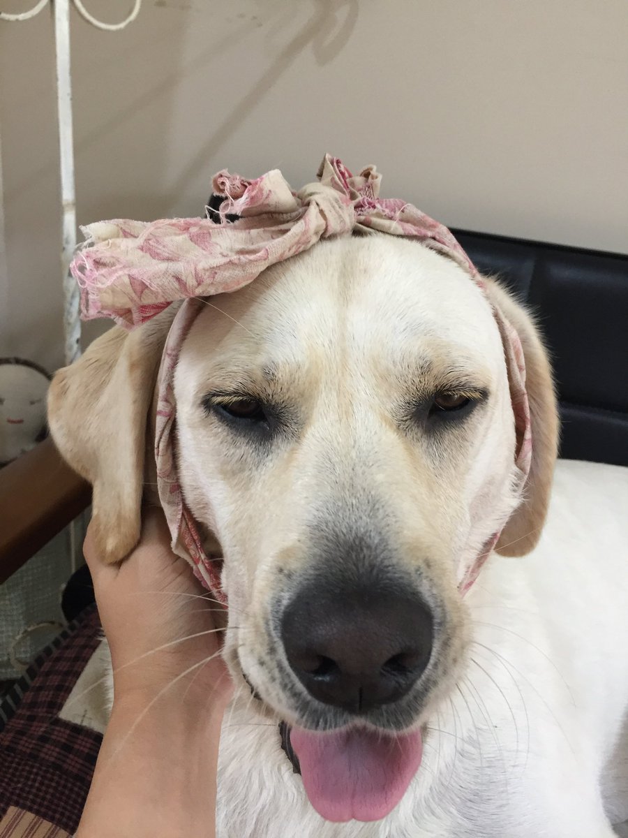 어제 찍힌 사진을 보니 대운이 치통 앓는 사진이 생각난다.