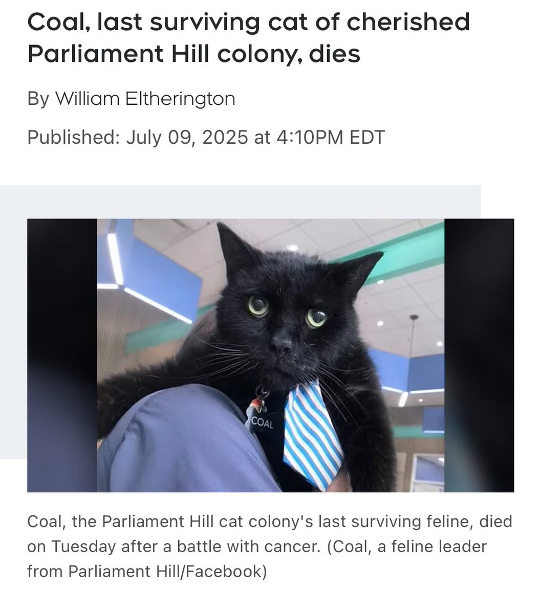 ottawaisms's tweet image. NOOOOOOOOOOOOOOOOOOO