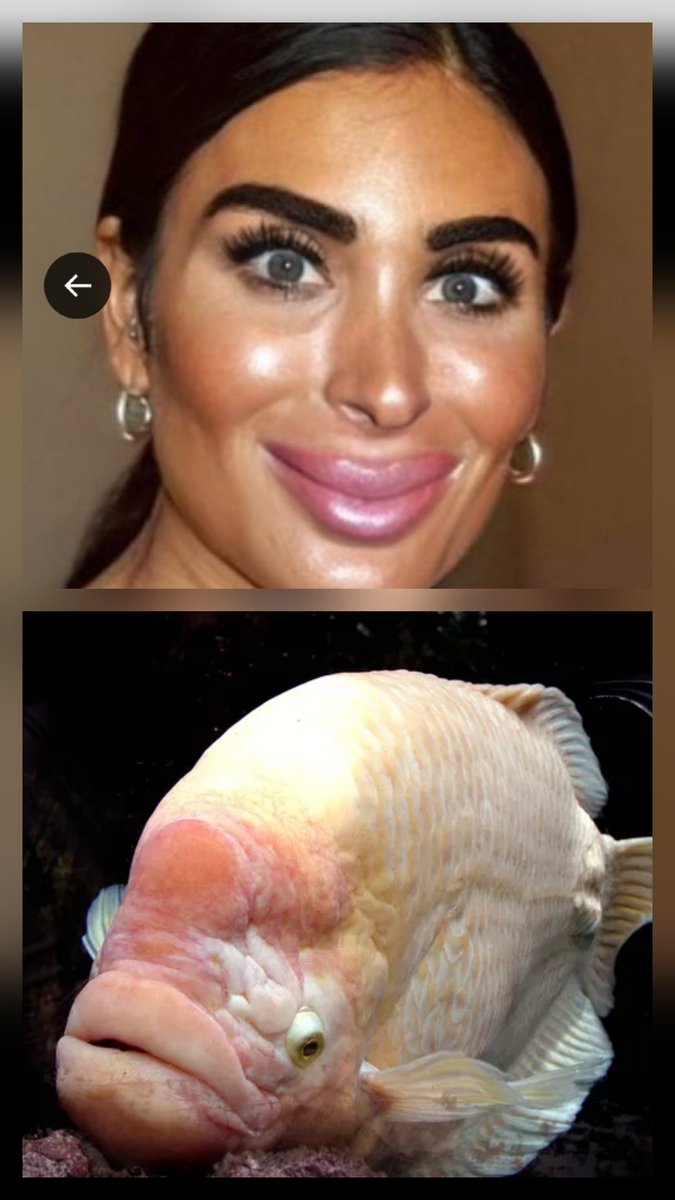 Jessalina tweet media