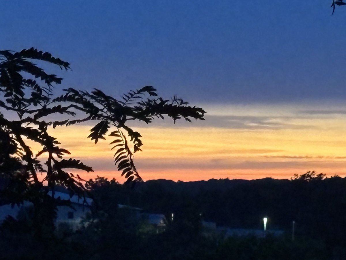 randy270281's tweet image. Sunset.