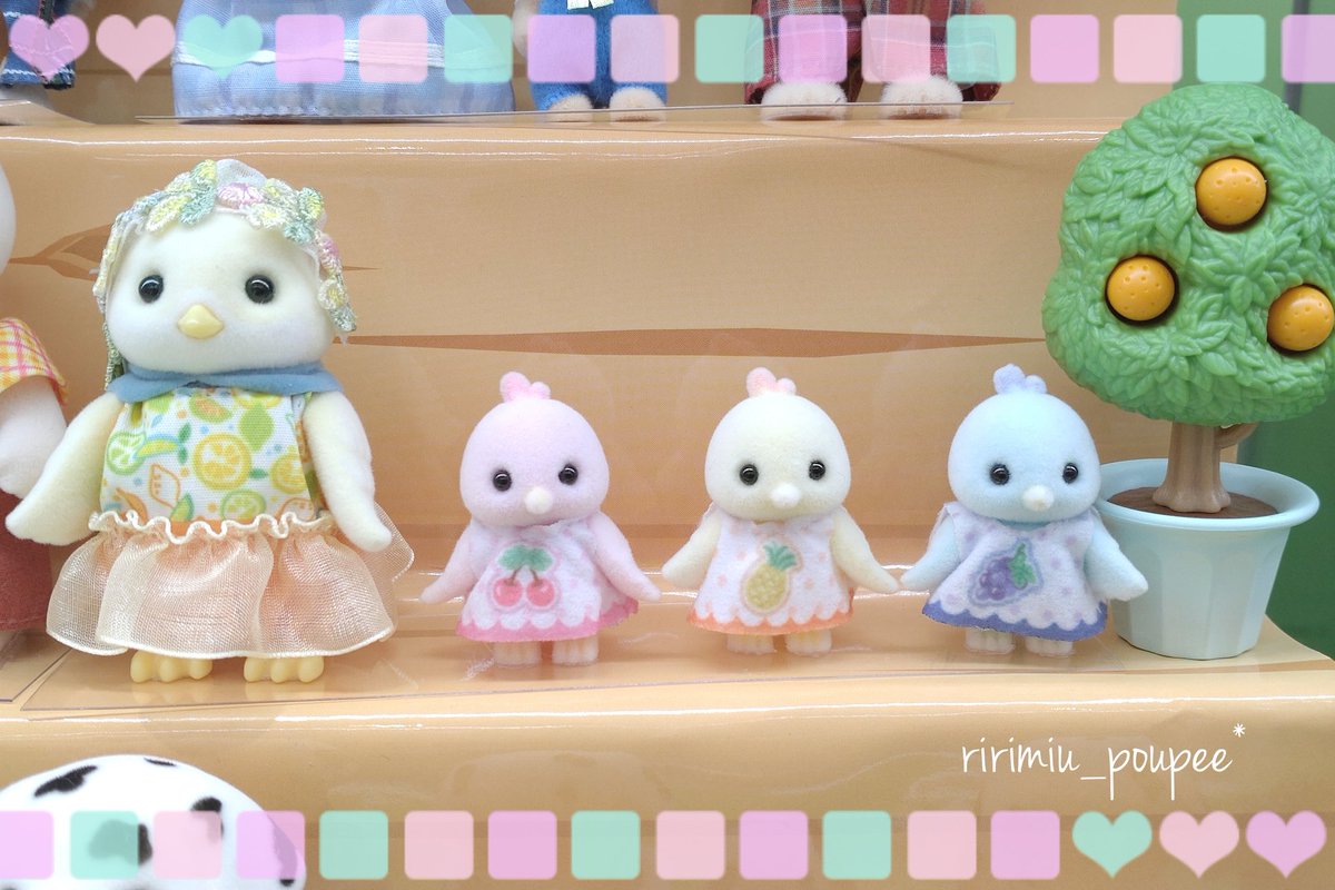 🏠️シトラスバードファミリーさん
展示を見てきました💕
可愛くて〜！やっぱりお迎え決定ですね🌷

#シルバニアファミリー