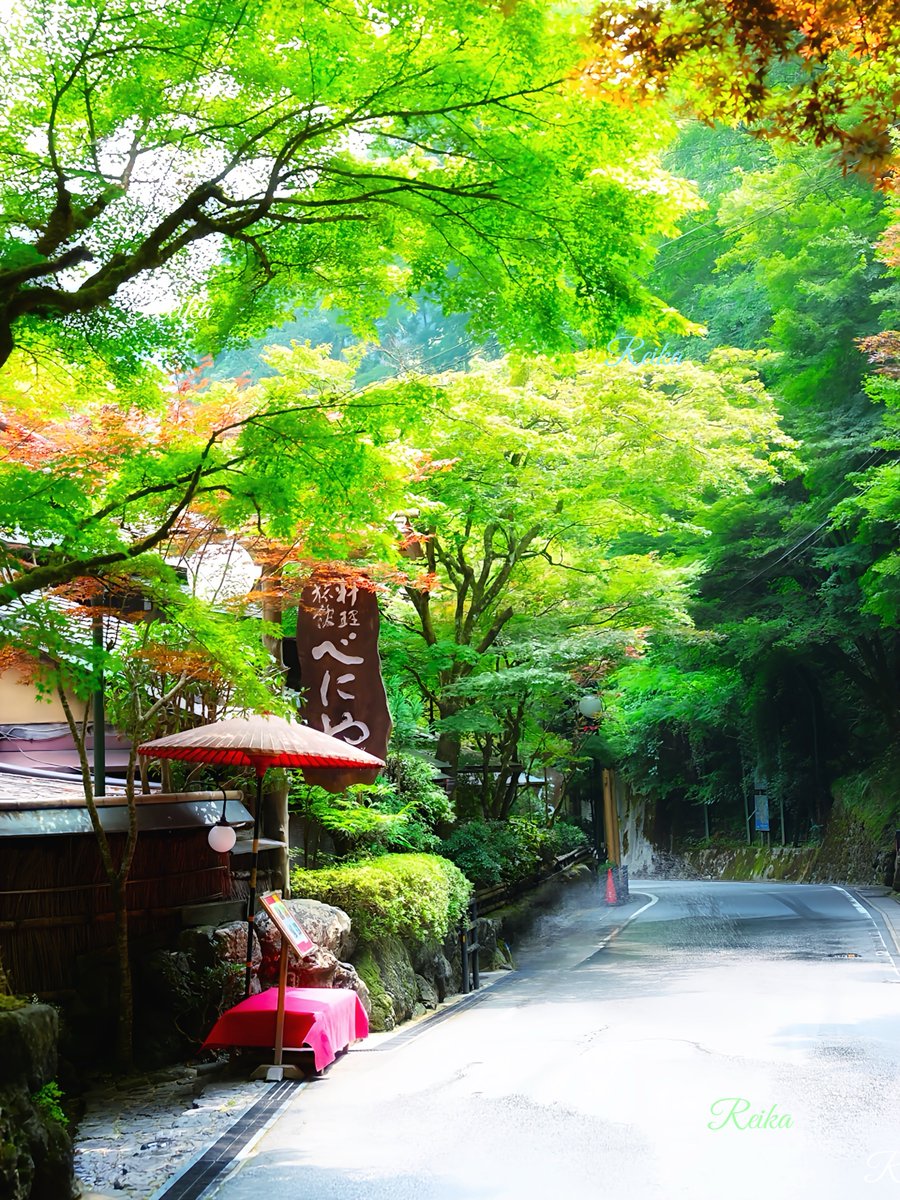 rotsurechiha's tweet image. 貴船の散歩道
