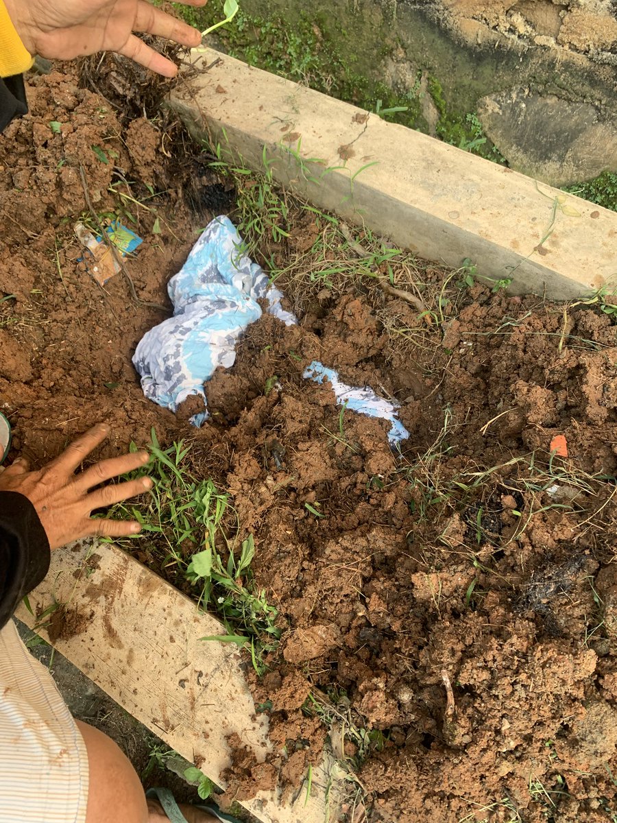 LuthfiPane's tweet photo. Akhirnya kamu nyusul temen kamu, makasih yaaa udah sudah sempet pulang dan kasih kita perpisahan di rumah. Makasih banyak udah nemenin mamah, aku sama ayah dirumah. Kita semua sayang sama kalian berdua, sampai berjumpa lagi miki dan kimi❤️ bocal kesayangan🤍🤍🤍🤍🥀 https://t.co/vS6sAVp47s