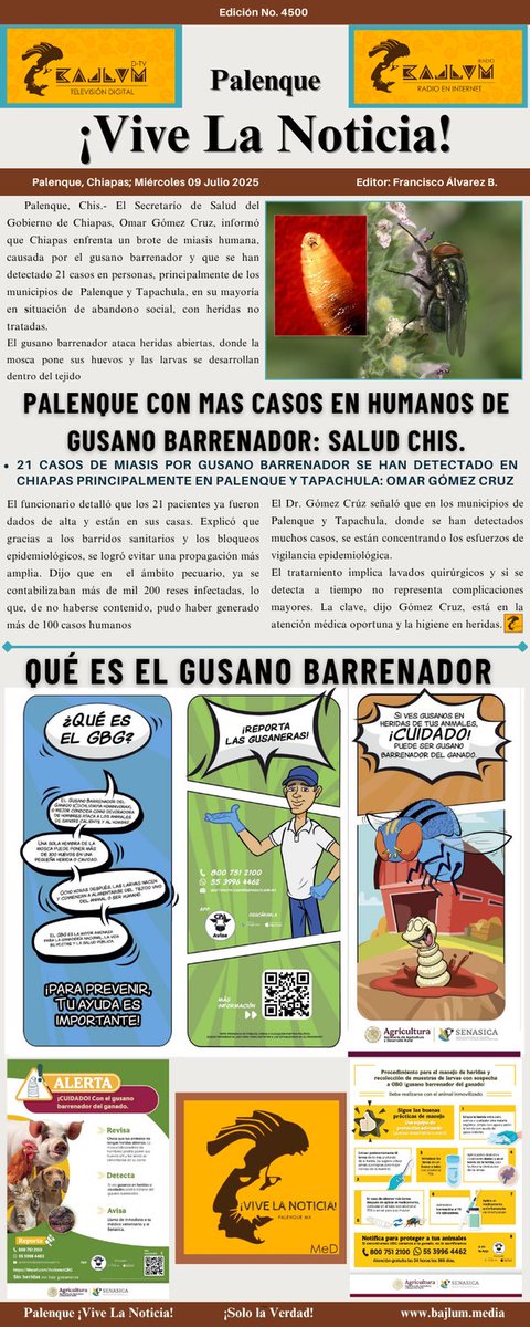 vivelanoticia's tweet photo. ¡Palenque; Vive La Noticia! Gaceta Digital 
*Palenque con más caso en humanos de Gusano Barrenador
*Qué es el gusano barrenador.
Edición 4500  09.Julio.2025. https://t.co/7912IG05Ot