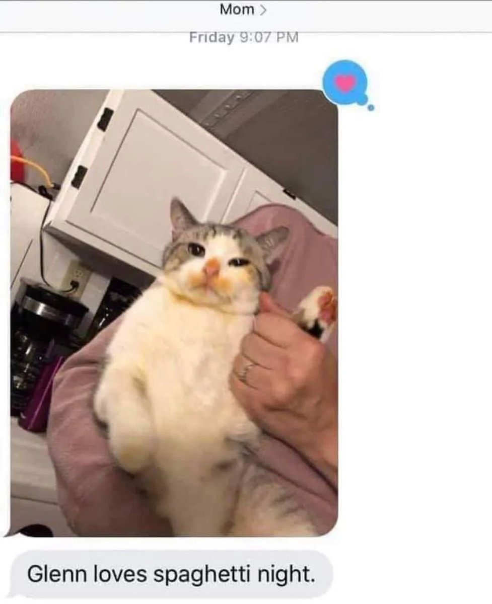 Punch Cat (@punchingcat) on Twitter photo 