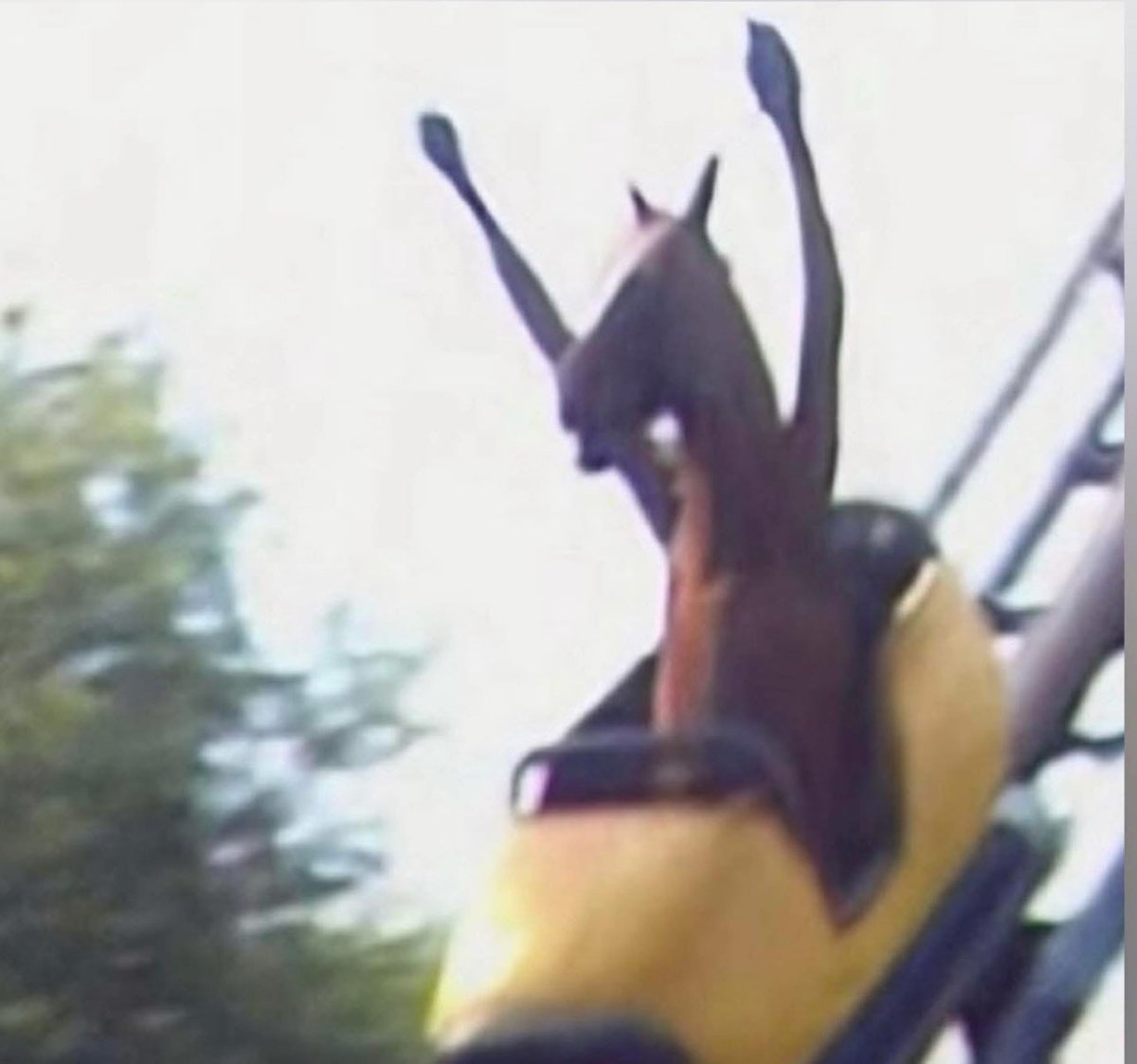 horses don’t stop they keep goinnnn