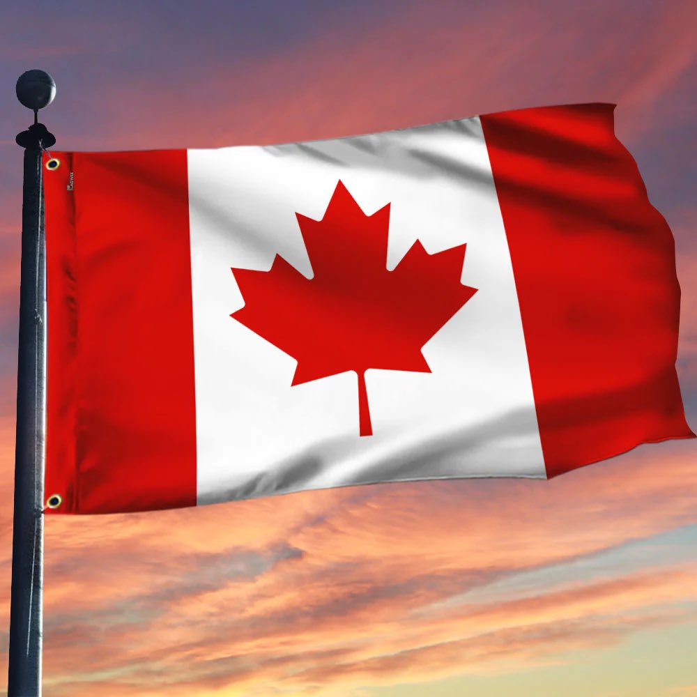 Smitty (@policediver1) on Twitter photo Remember when <a href="/liberal_party/">Liberal Party</a> made people believe that waving this flag meant you were a danger to the country. Remember when <a href="/liberal_party/">Liberal Party</a> made people believe that waving this flag meant you were a danger to the country.