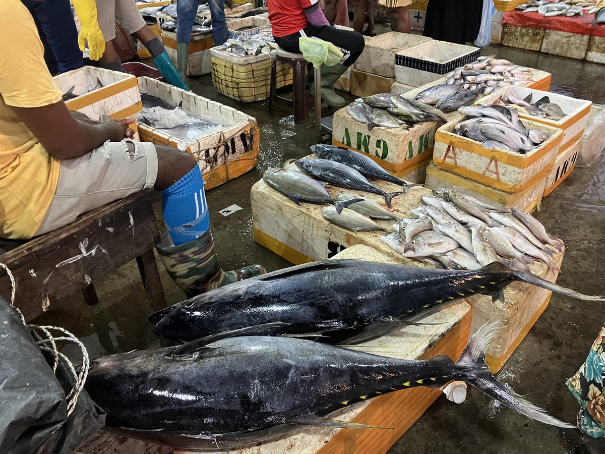 World Challenge at Bolton School Girls' Division tweet media