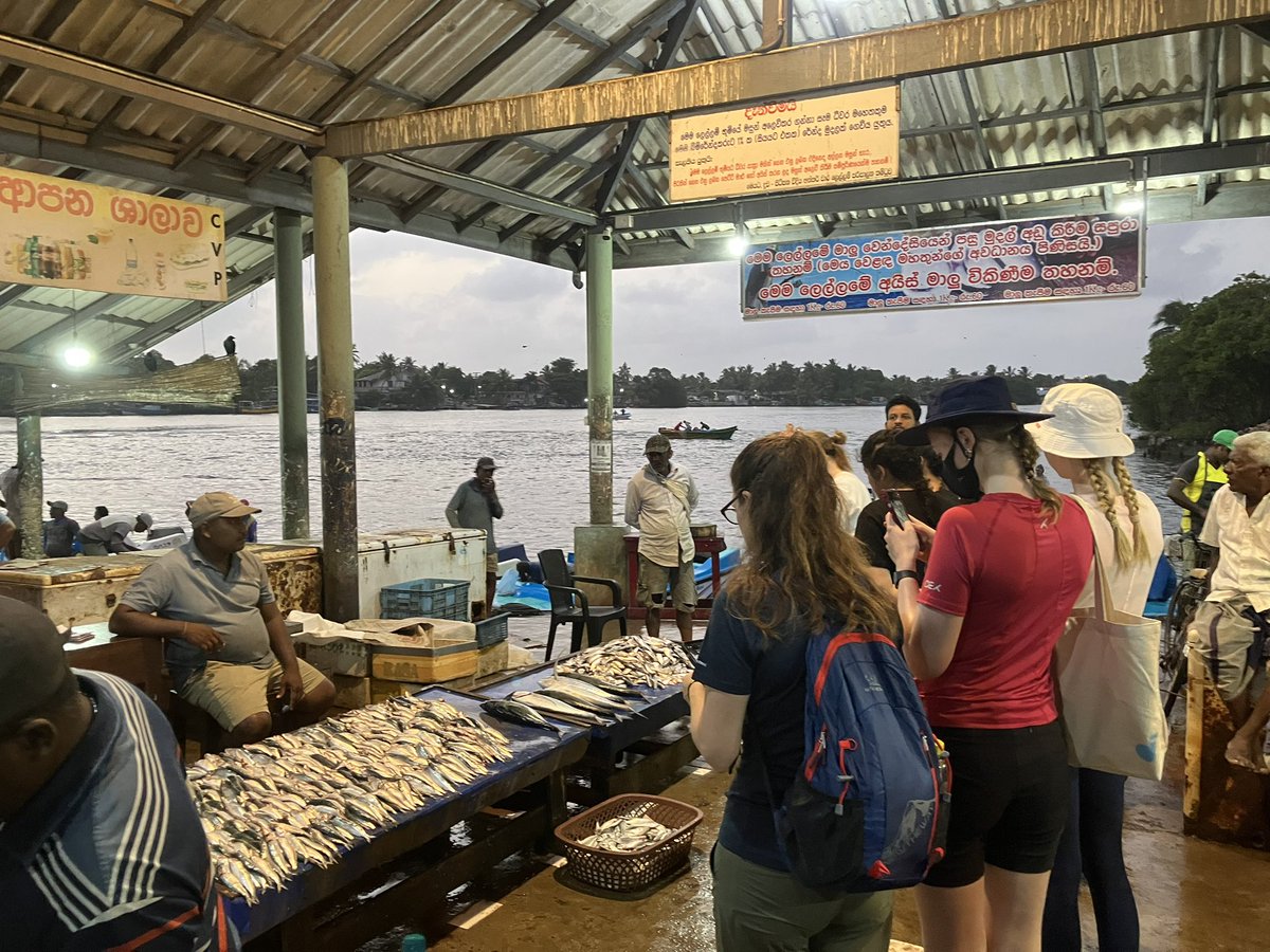 World Challenge at Bolton School Girls' Division tweet media