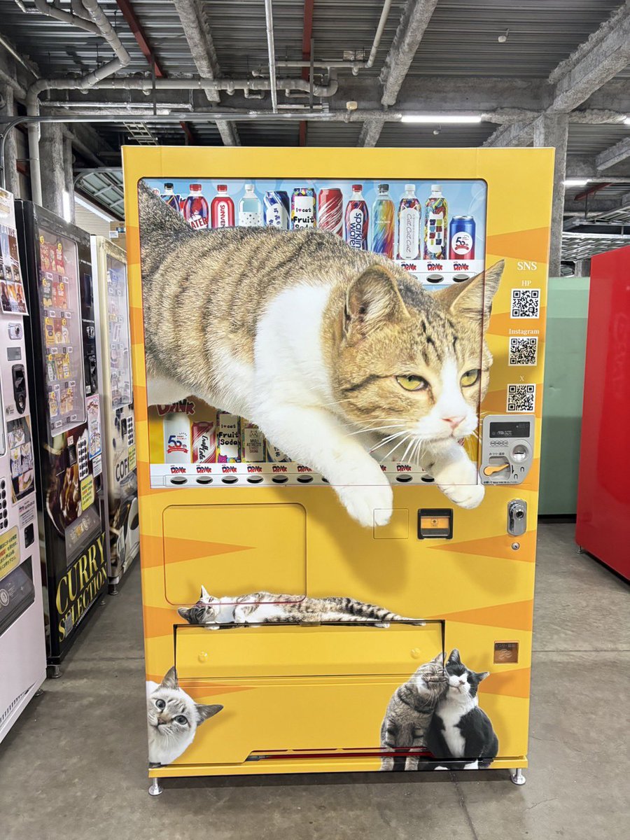 飛び猫ラッピング自販機がついに誕生しました with DRINK自販機