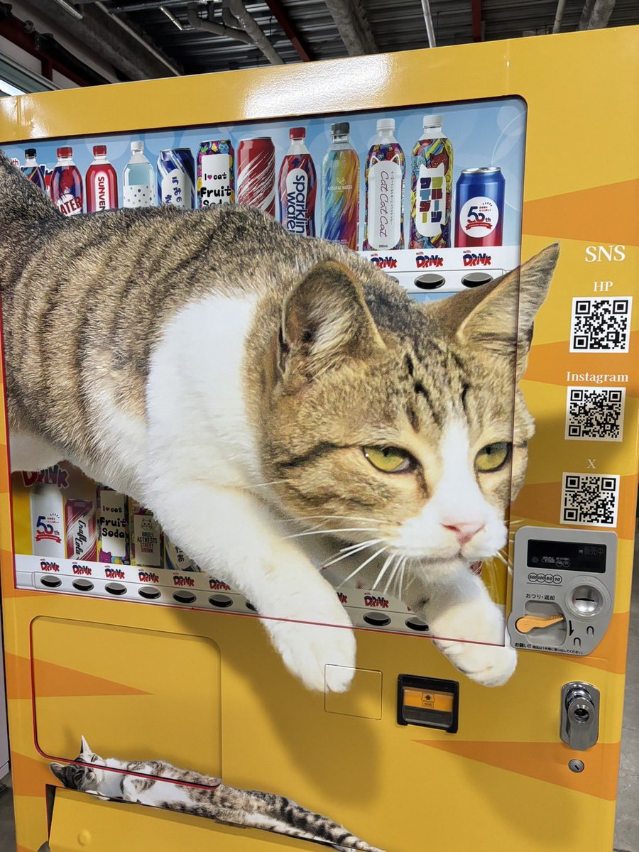 飛び猫ラッピング自販機がついに誕生しました

with DRINK自販機ショップ栗原高清水(自販機ミュージアム)
場所：宮城県栗原市高清水大沢1−1
#猫　#cat