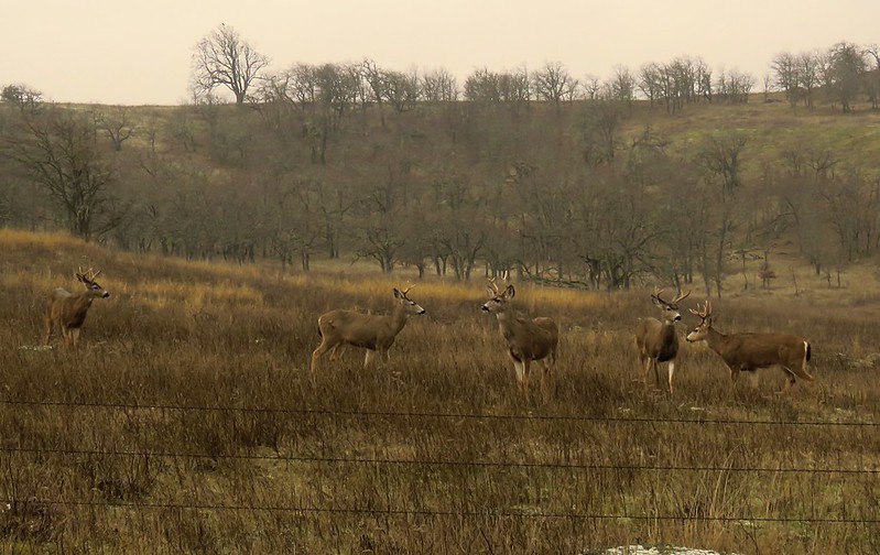 Hangin out with the fellas
