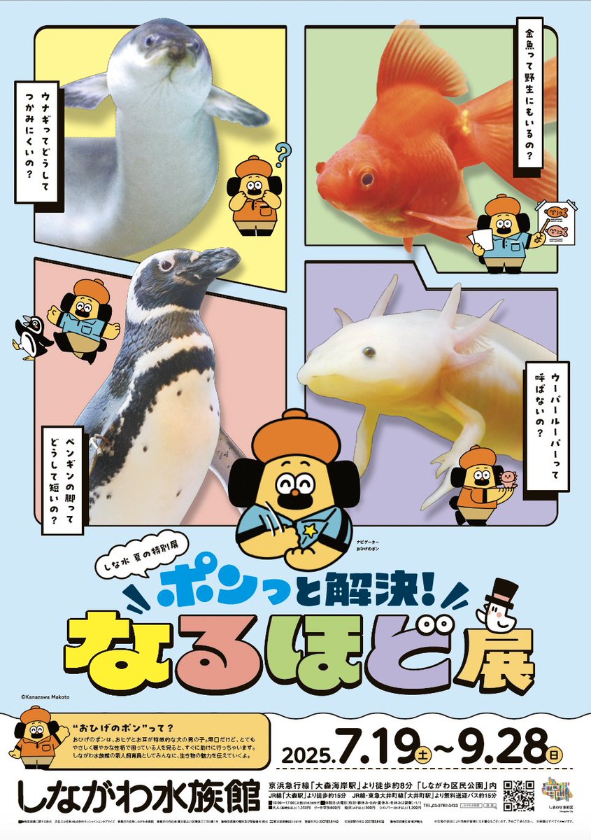Shinagawa_Aqua's tweet image. \開催予告/
見て・読んで・驚き・納得!夏のしながわ水族館は “なるほど” がいっぱい✨
生き物たちへの素朴な疑問を紐解く、学びに満ちた夏の特別展「ポンっと解決!なるほど展」を2025年7月19日(土)~2025年9月28日(日)の期間で開催します。
詳しくは⇒aquarium.gr.jp/news/events/12…