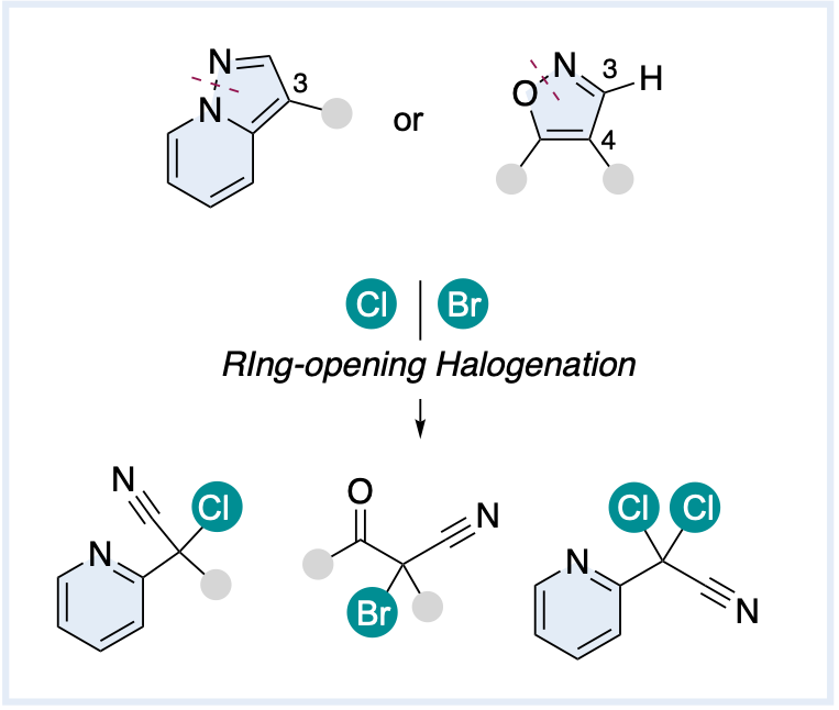 Yamaguchi Lab (@jyamaguchilab) on Twitter photo Our invited article on Ring-Opening Halogenation of Pyrazolopyridines and Isoxazoles is now out at <a href="/ChemEurJ/">ChemEurJ: Chemistry - A European Journal</a> !
Big congrats to Hugo !!
doi.org/10.1002/chem.2… Our invited article on Ring-Opening Halogenation of Pyrazolopyridines and Isoxazoles is now out at <a href="/ChemEurJ/">ChemEurJ: Chemistry - A European Journal</a> !
Big congrats to Hugo !!
doi.org/10.1002/chem.2…