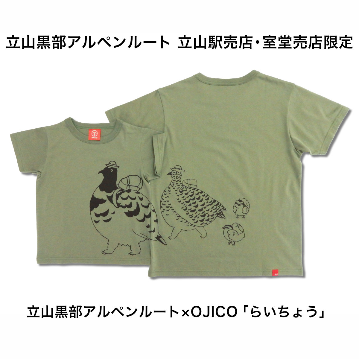 立山黒部アルペンルート×OJICO「らいちょう」 ＞立山黒部アルペン