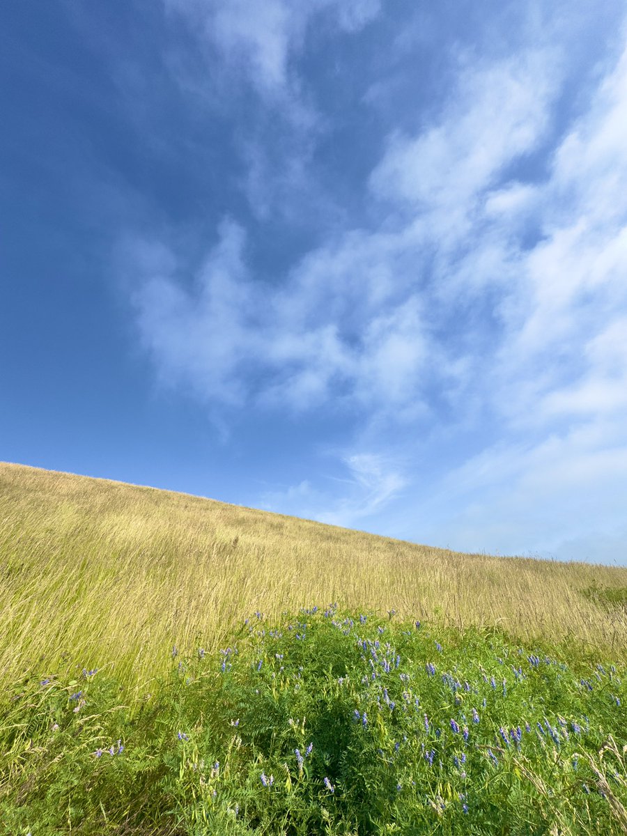 朝ポスト…
左の階段を選ぶと…😉

空が少しずつ近くに♪

登った気持ちになって頂けたら♫✌️