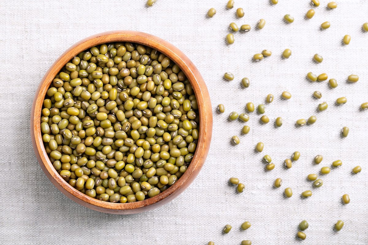 NewsMedical's tweet photo. Discover how #mung #beans bridge ancient remedies and modern science, offering affordable nutrition that supports blood sugar, heart health, and gut function, while remaining gentle on digestion and accessible across cultures. https://t.co/lWQ8iFs4vl https://t.co/LX1X7eed2B