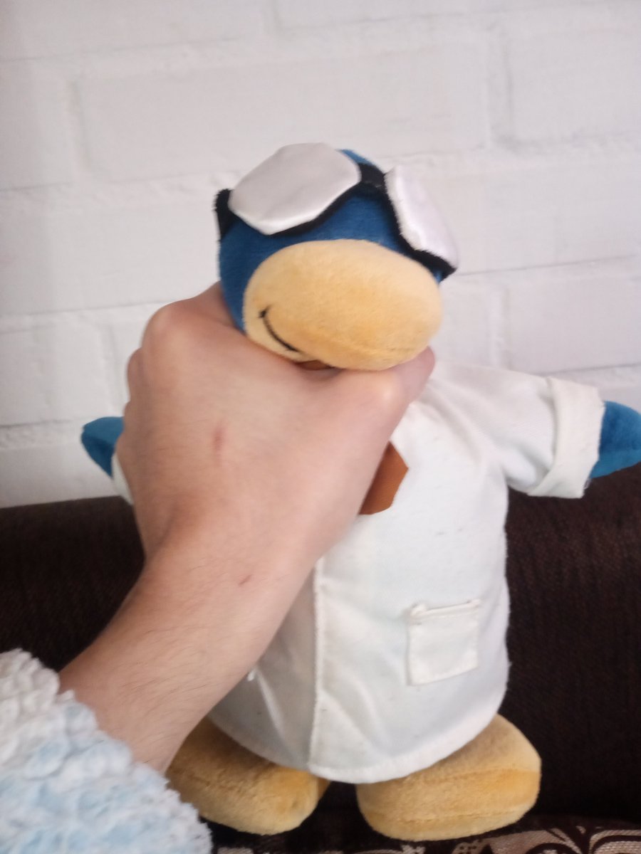 🛡️ Muffin!! 🛡️ tweet media