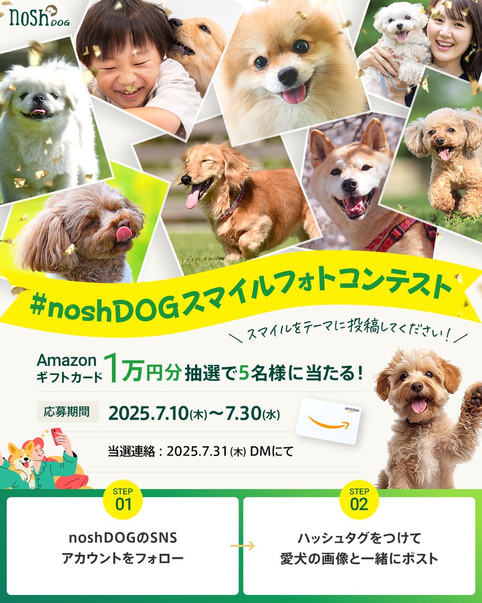 未開封】nosh DOG ナッシュドッグ 高級ドッグフード 44袋 nosh DOG