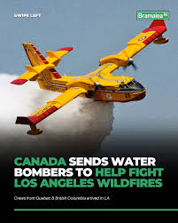 America is no longer Canada's ally. They sent us a fucking COMPLAINT letter because the smoke from our wildfires is upsetting them.🤦‍♀️

ARE YOU FUCKING KIDDING ME? How many times has Canada come to their aid? Fires, terrorism, wars, hurricanes, power outages, the list is endless.