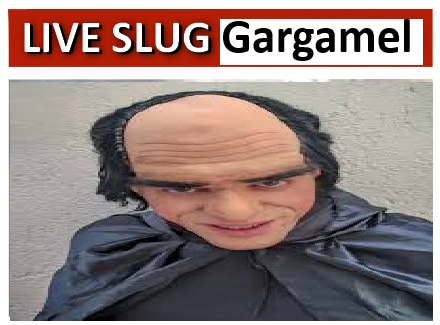 GargamelLeague's tweet photo. ALERT! Lobbies ARE forming!!!! https://t.co/xkrtwkrilm
