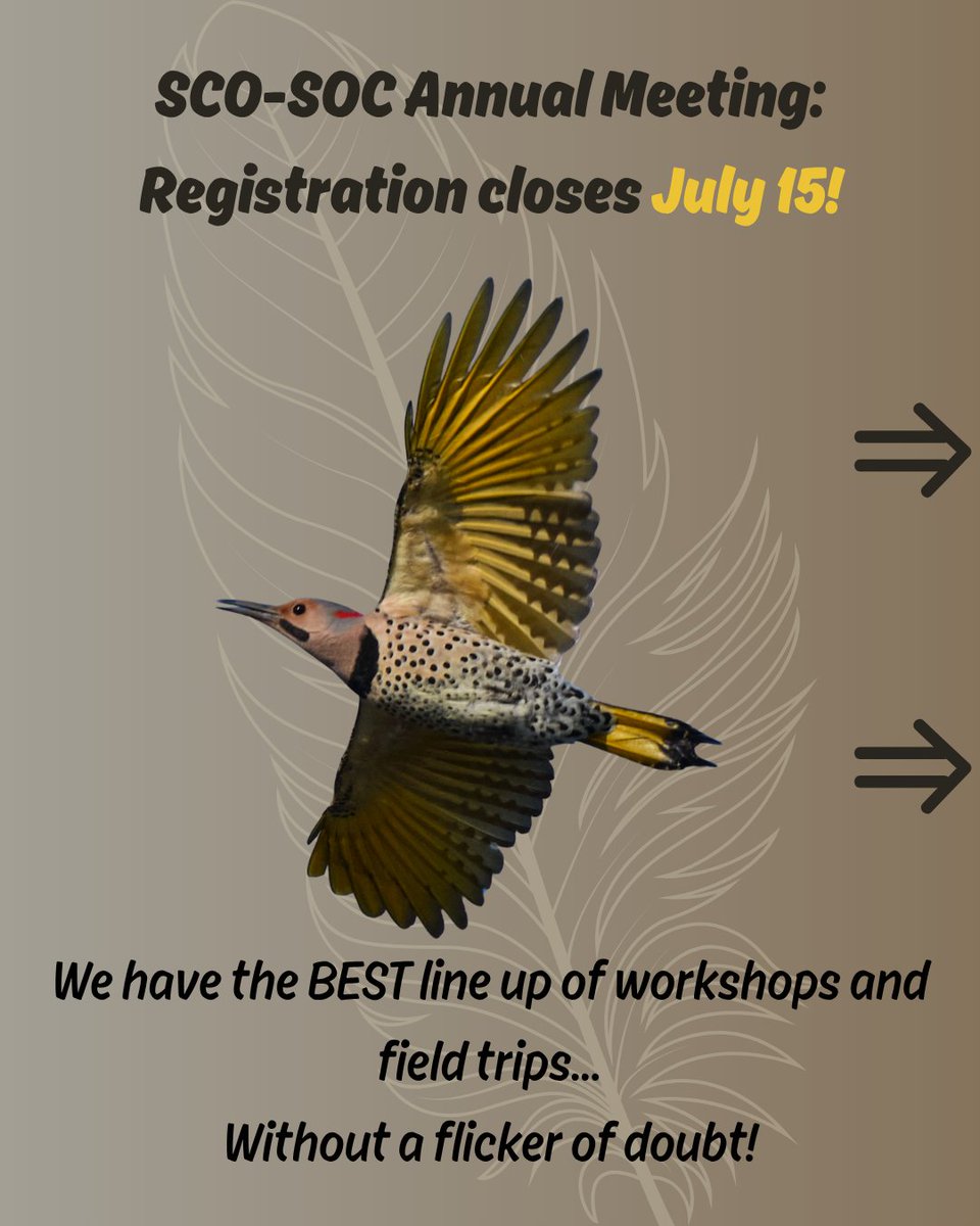 SCO-SOC_2025_Saskatoon tweet media