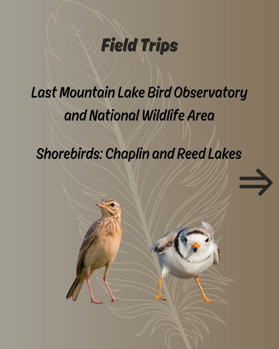 SCO-SOC_2025_Saskatoon tweet media