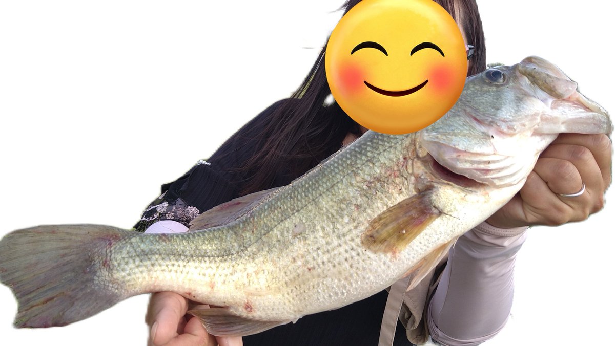 昨日の夕方嫁とGGDに
9B8F
私はMAX40、嫁はMAX44…サイズ負けましたw
良いサイズはお互い1本ずつでしたが、小バスのスクールに当たったみたいで、約2時間2人で15本くらい釣れました…w
#爆風で帽子が飛ぶw