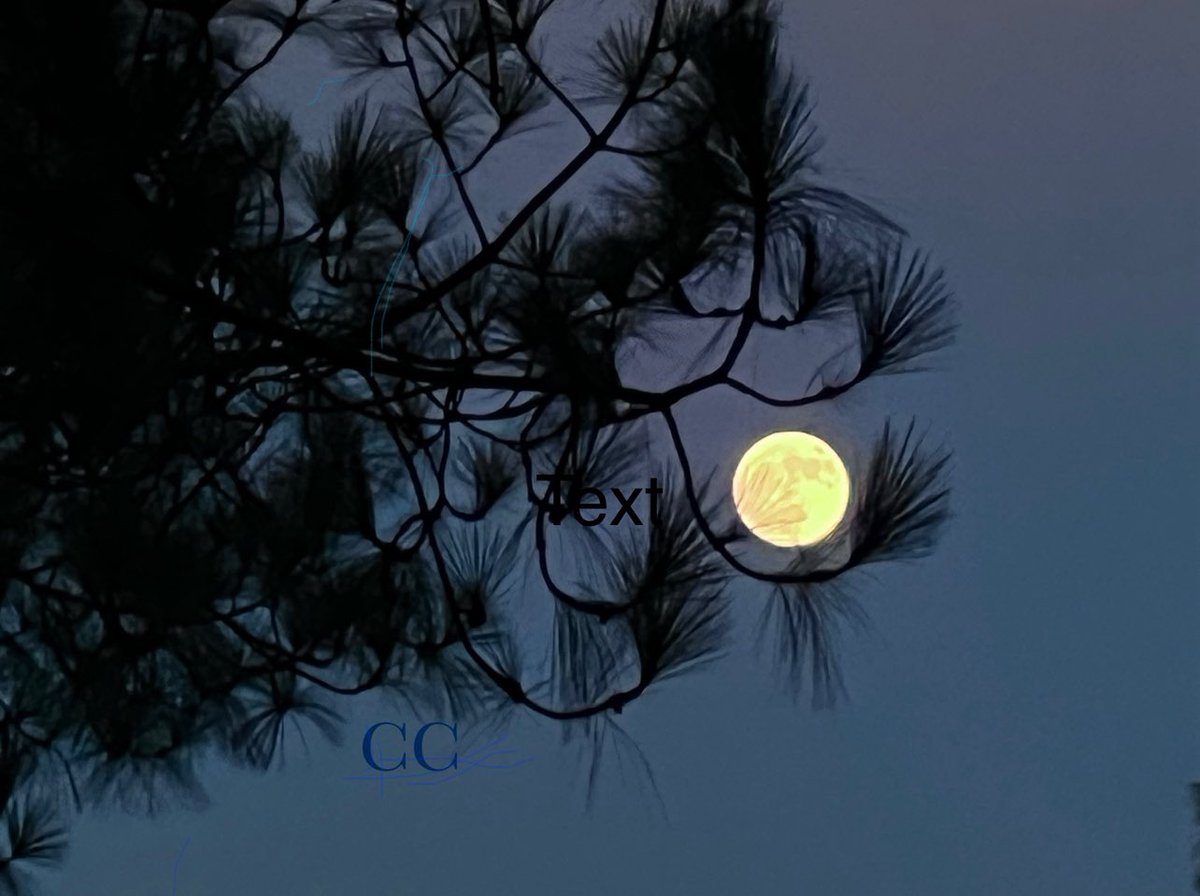 Happy Full Moon 🌕