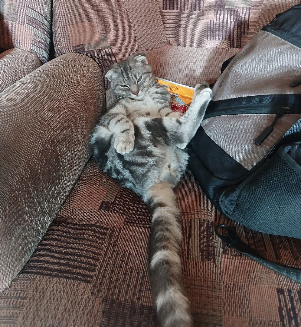 Ну а Кен тут единственный, наверное, кому вообще все норм.