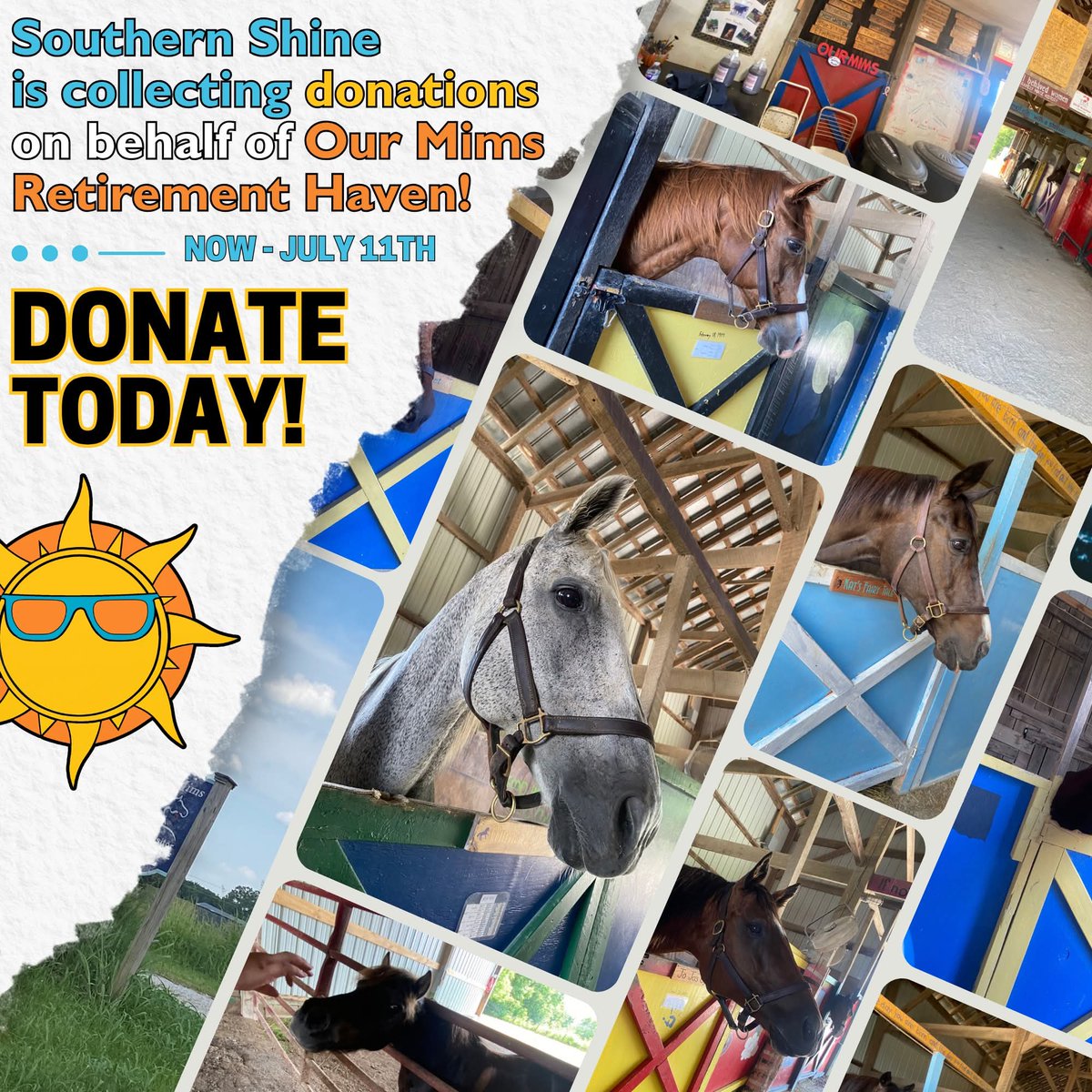 Thank you Southern Shine Paris Paris Kentucky.  <a href="/TBaftercare/">Thoroughbred Aftercare Alliance</a> <a href="/DRFLivingston/">Barbara D. Livingston</a> <a href="/TBCharities/">TCA</a>