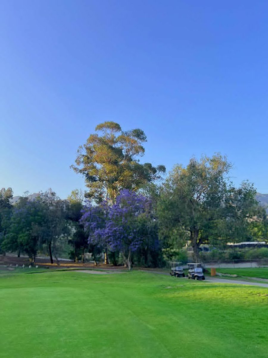 Nia5429's tweet photo. Your next shot is the only one that matters 🏌️‍♂️🌱 https://t.co/sU1TJZPijP